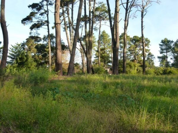 OPORTUNIDAD por TIEMPO LIMITADO. Ingrese al club de primera fila sobre Cancha de Golf !